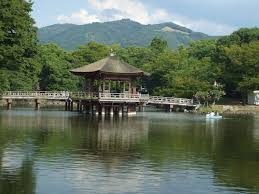 nara wellness