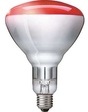 sauna lampen kopen
